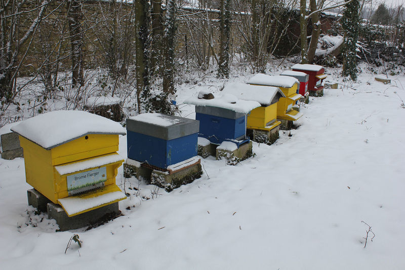 La ruche Brome Fierger